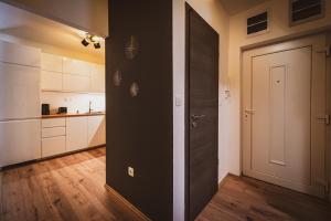 Kuchyňa alebo kuchynka v ubytovaní SUPREME Apartment + 13 fotografií