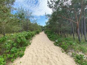 Príroda v okolí apartmánu