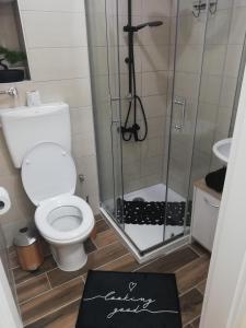 a small bathroom with a toilet and a shower at Studio apartman Noa in Rijeka