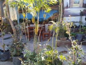 un patio avec une table et des plantes dans l'établissement Departamento Familiar Pimentel - Ica, à Ica