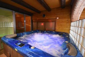 Fotografia z galérie ubytovania Casa rural de estilo rustico con SPA v destinácii Almagro