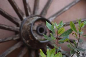 Fotografia z galérie ubytovania Casa rural de estilo rustico con SPA v destinácii Almagro