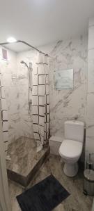 a bathroom with a white toilet and a shower at Adelės Apartamentai Panevėžyje in Panevėžys