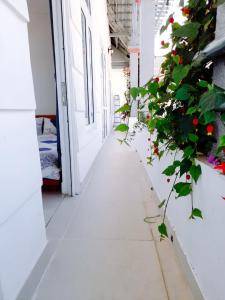 Fotografie z fotogalerie ubytování Ha Khoa Hotel Dalat v destinaci Da Lat
