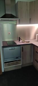 a kitchen with a sink and a counter top at DOMAINE DU GRAND TETRAS SAMOENS in Samoëns