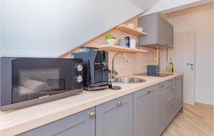Kuchyň nebo kuchyňský kout v ubytování Pet Friendly Apartment In Pirovac