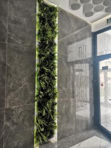 a vertical plant on a wall in a room at Christopher Apartment in Oradea +34 photos