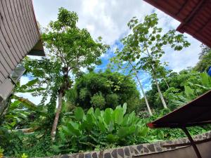 Blick auf einen Garten mit Bäumen und Pflanzen in der Unterkunft Sunrise House in Quepos