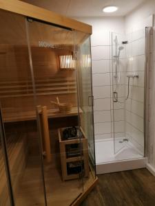 La salle de bains est pourvue d'une douche et d'une cabine de douche en verre. dans l'établissement Blumenwerkstatt, à Dankerode