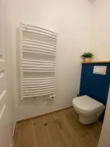 Łazienka z białą toaletą i niebieską ścianą w obiekcie Superbe appartement climatisé entre mer et montagne w mieście Anglet +7 zdjęć