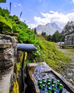 una fuente de agua con botellas de cristal verde en un campo en KOMOVI- kobildo SMJESTAJ en Andrijevica