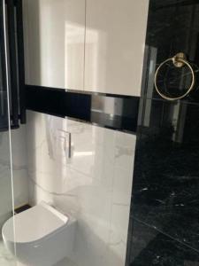 Łazienka w obiekcie Apartamenty Parkowe B18