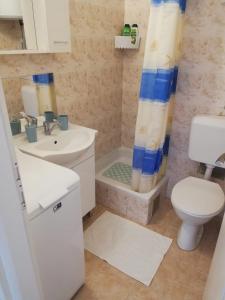 Koupelna v ubytování Apartment Fortuna