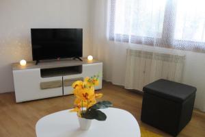 een woonkamer met een televisie en een tafel met bloemen bij Apartment KAPO in Sarajevo