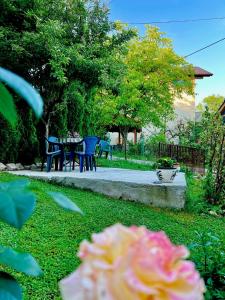 a garden with a table and chairs and a flower at Apartman Amila in Sarajevo