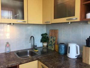 a kitchen with a sink and a counter top at Happy rooms in Ventspils