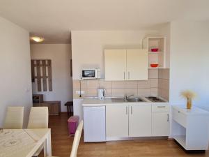 Apartments Zakarija的厨房或小厨房