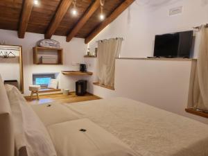 a bedroom with a bed and a flat screen tv at Agriturismo Ostrouska in Sgonico