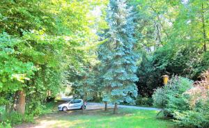 Zahrada ubytování Appartement Ambiente