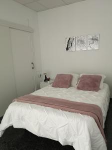 1 dormitorio con 1 cama grande y 2 almohadas en Acogedor apartamento con excelente ubicación., en Santa Cruz de Tenerife