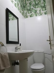 y baño con lavabo, aseo y espejo. en Acogedor apartamento con excelente ubicación., en Santa Cruz de Tenerife