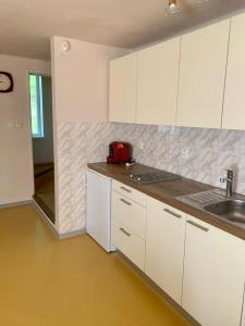 Kuchyň nebo kuchyňský kout v ubytování Apartment Jane + 14 fotografií