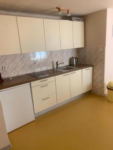 Kuchyň nebo kuchyňský kout v ubytování Apartment Jane