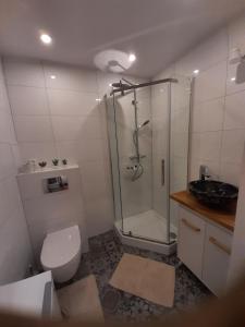 La salle de bains est pourvue d'une douche, de toilettes et d'un lavabo. dans l'établissement Apartament w centrum miasta, à Suwałki