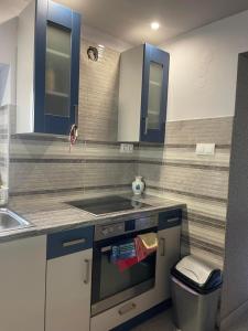 KunfehértóにあるKovács Apartman Kunfehértóのシンクとコンロのあるキッチン トップオーブン