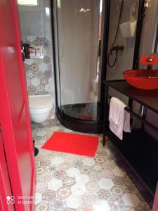 La salle de bains est pourvue d'une douche et d'un tapis rouge. dans l'établissement Domek na Jodłowej, à Odargowo