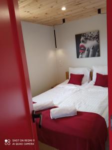 a bedroom with two beds with red pillows at Domek na Jodłowej in Odargowo