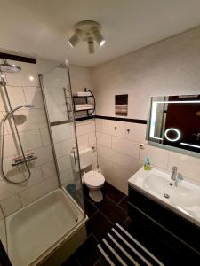 a bathroom with a shower and a toilet and a sink at Apartment am Gradierbau Bad Kissingen in Bad Kissingen