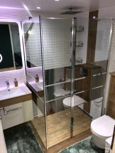a bathroom with a shower and a toilet and a sink at Casuta din livada in Botoşani