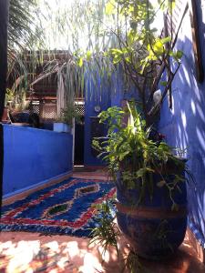 una parete blu con una porta blu con piante di Riad Alamine a Marrakech