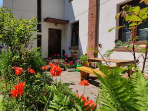 ogród z czerwonymi kwiatami i drewnianą ławką w obiekcie Apartament Latarników Stilo w Sasinie