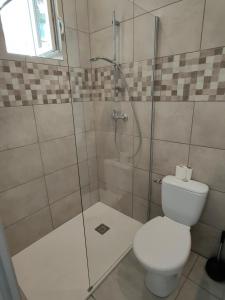 a bathroom with a toilet and a glass shower at Joli apparemment type Loft in Cavaillon