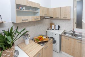 Kuchyň nebo kuchyňský kout v ubytování Apartman Eta