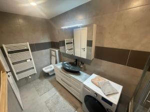 La salle de bains est pourvue d'un lavabo et de toilettes. dans l'établissement Delux apartment ARSO, à Velenje