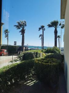 Blick auf Palmen und Büsche von einem Gebäude aus in der Unterkunft Vue Mer à 20 mètres de la plage ! in Six-Fours-les-Plages + 7 Fotos