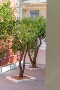 Fotografie z fotogalerie ubytování Lithostroto Retreat #1 v destinaci Argostoli