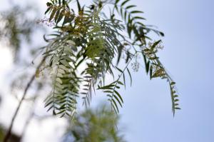 Galeriebild der Unterkunft Agriturismo Pepe Rosa in Rivoli Veronese + 35 Fotos