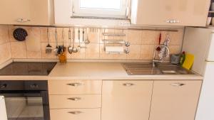 Kuchyňa alebo kuchynka v ubytovaní Planikovica Apartments