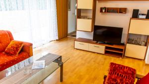 Televízia a/alebo spoločenská miestnosť v ubytovaní Planikovica Apartments