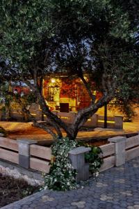 un árbol en medio de un parque por la noche en Katy's place, en Kalathas