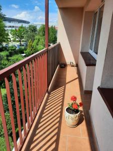 Balkón alebo terasa v ubytovaní Apartament Korczaka Centrum