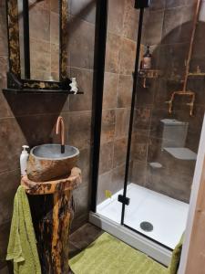 a bathroom with a sink and a shower at Richlands Homestay in Tondu
