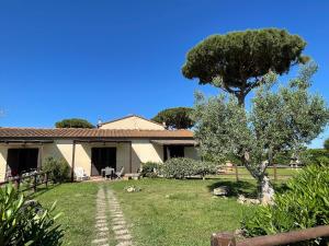 a house with a tree in the yard at Small cottage with aircon, private terrace and garden - 2000m from the beach by ToscanaTour in Cecina