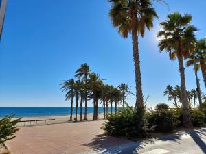 a beach with palm trees and the ocean at Duplex zona centro in Villajoyosa