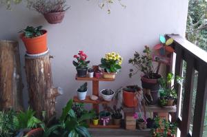 Recanto Pôr do Sol外面的花园