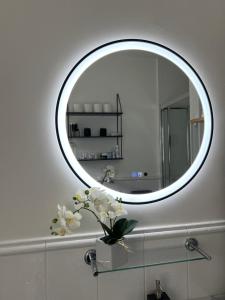 a bathroom mirror with a vase of flowers on a sink at Lovely apartment in Cork in Cork